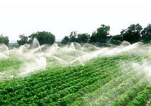 灌溉.jpg